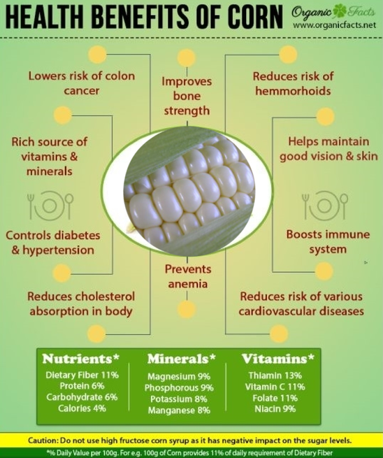 White Corn Benefits