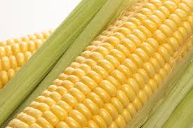 Sweet Corn