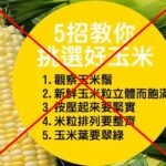 how to choose sweet corn