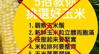 挑选玉米的5大误区