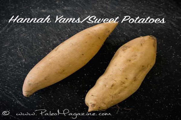Hannah Sweet Potatoes