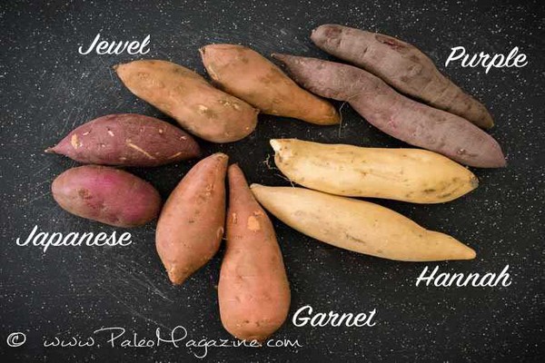Different Types of Sweet Potatoes