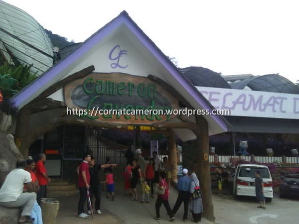 Lavender Garden Cameron Highland