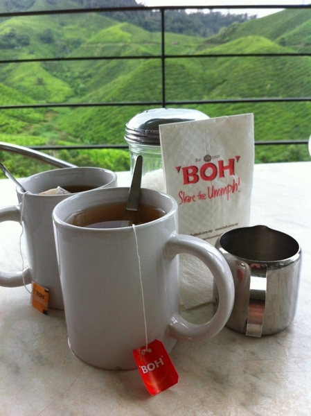 Boh Tea