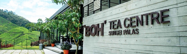 Sungai Palas Boh Tea Centre