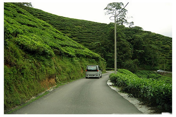 Sungai Palas Road