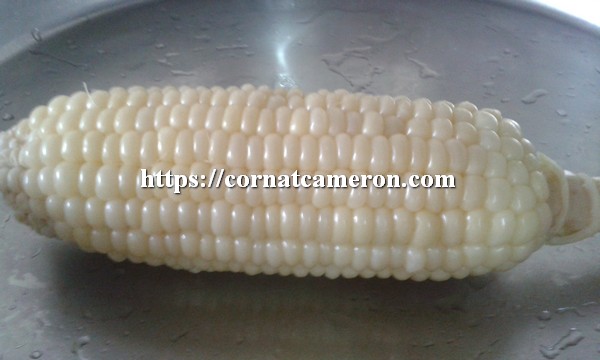 Pure White Sweet Corn
