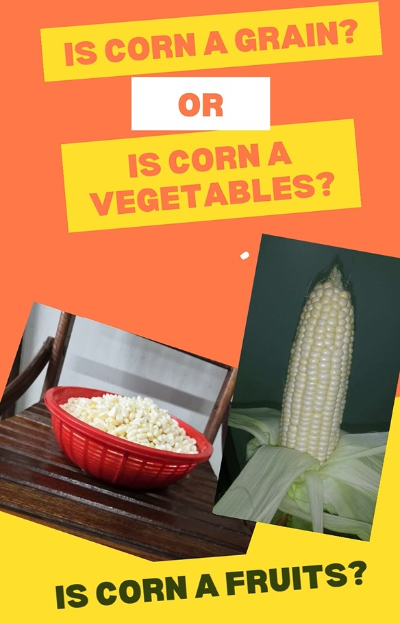 is-corn-a-vegetable-or-fruit-sweet-corn-specialist-at-cameron