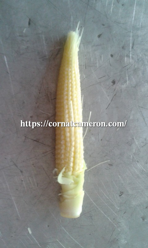 Baby Corn Take Off All