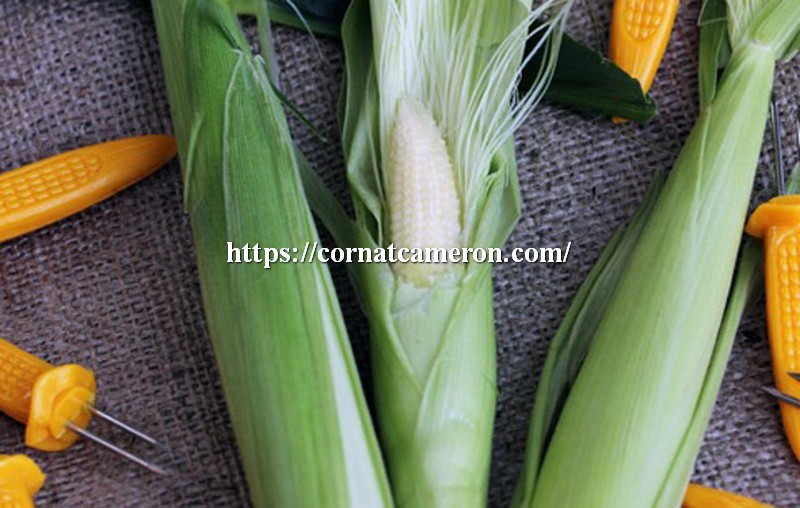 baby corn with leaf