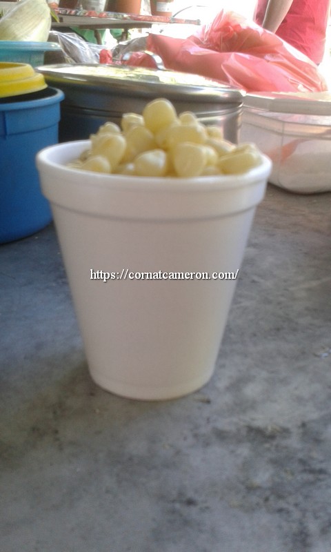 white sweet corn in cup