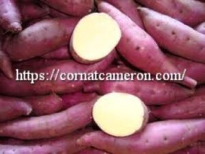 Japanese Sweet Potatoes 