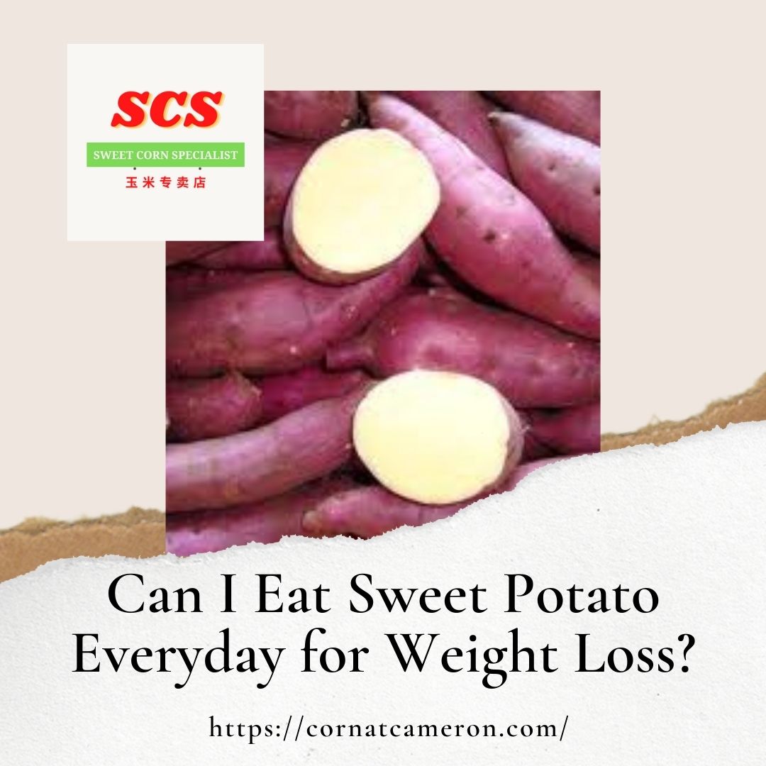 can-i-eat-sweet-potato-everyday-for-weight-loss-sweet-corn