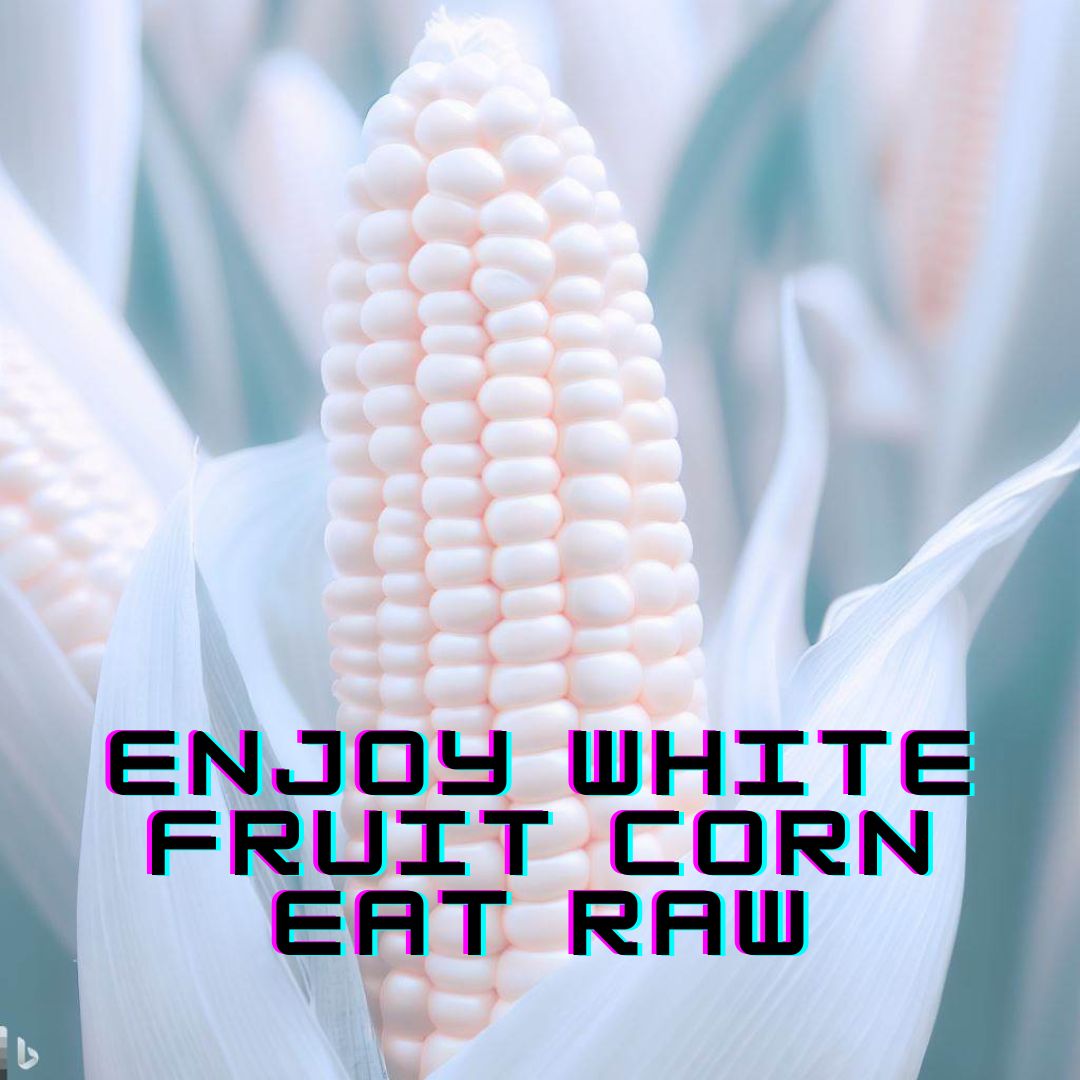 Enjoy White Fruit Corn Eat Raw A Healthy Snack Choice Sweet Corn