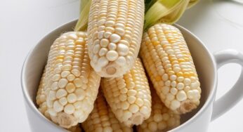 How Pure White Fruit Corn from Cameron Highlands Can Improve Your Digestion
